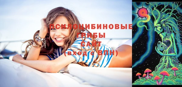 a pvp Новокубанск
