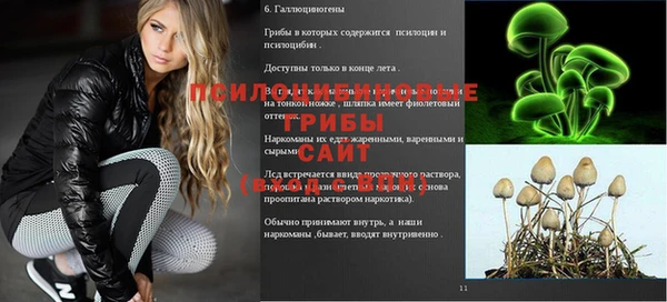 бошки Новозыбков